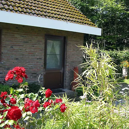 Ferienwohnung In Norden